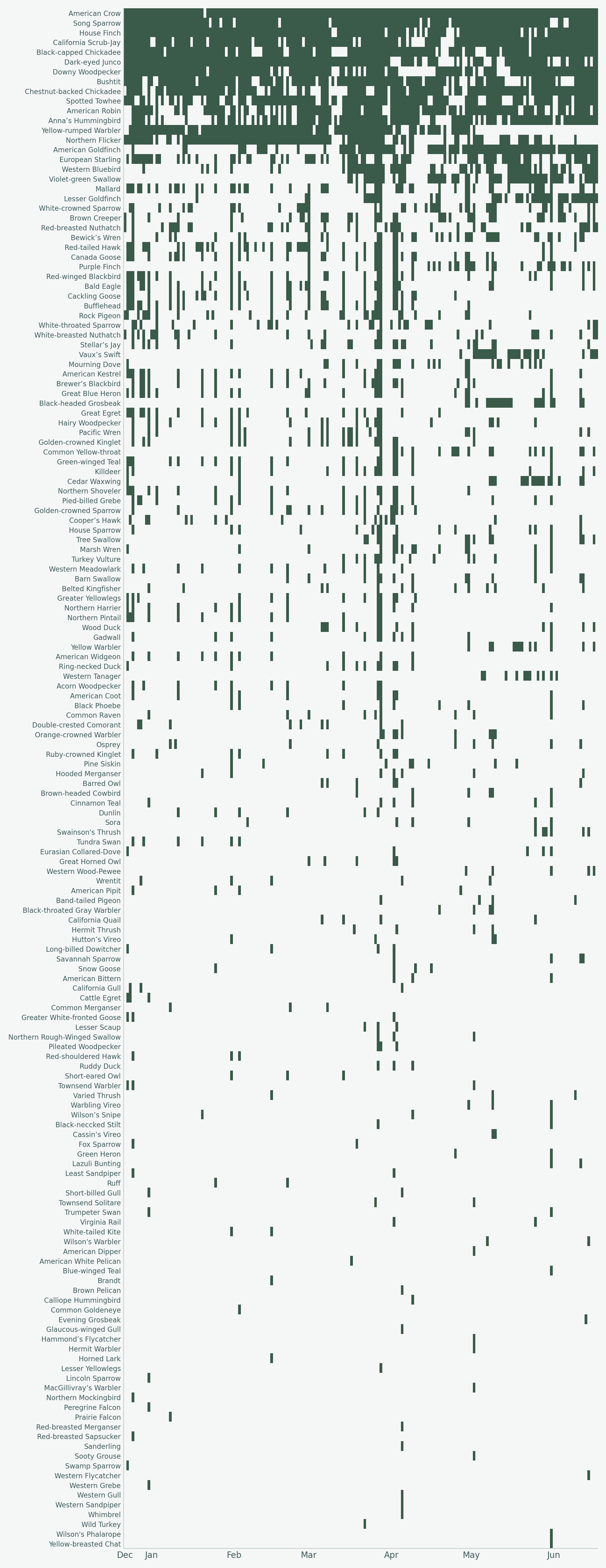 Every species across every recorded day. 158 species are listed as rows, sorted most-observed at the top. Days run left to right across 178 days. American Crow appears on 177 of 178 days at the top. Rare species at the bottom appear as scattered single marks. The same data is browsable as a clickable list in the by-species section above.