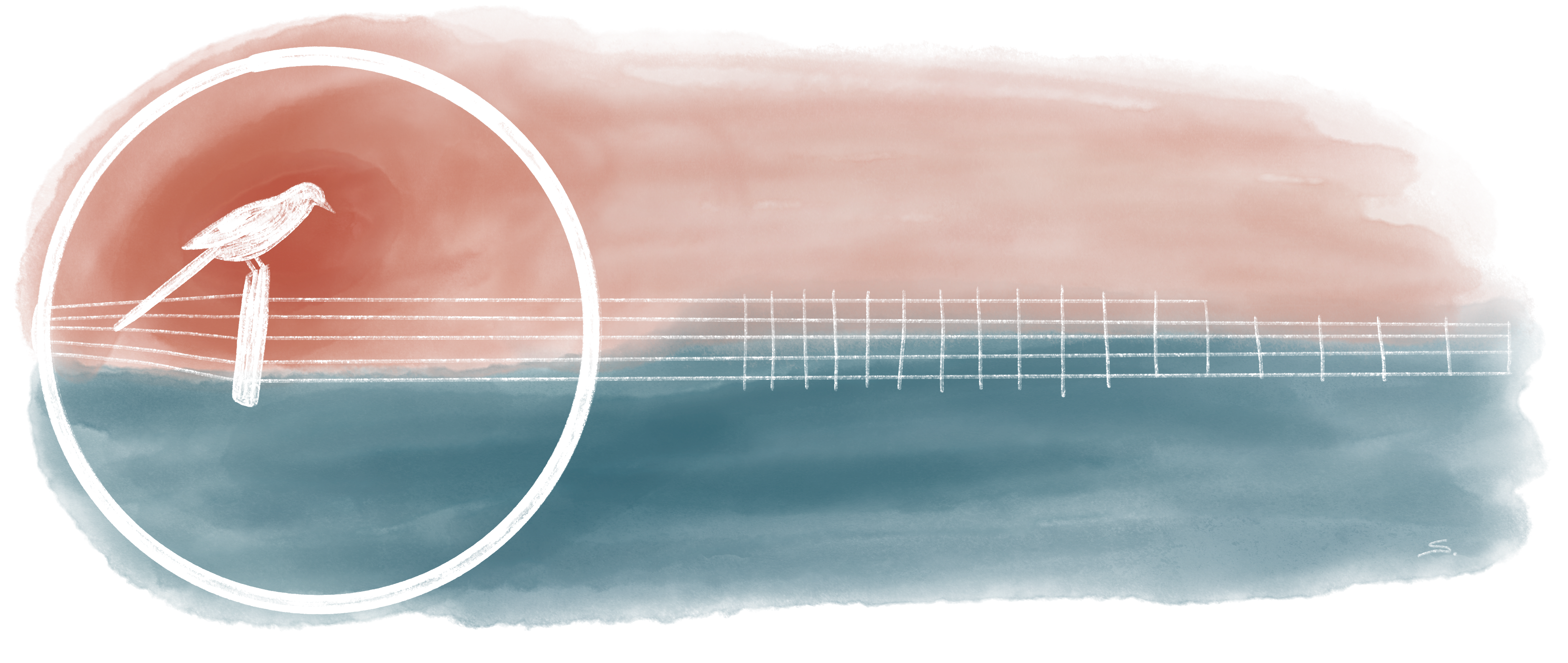 a banjo with a magpie sitting on the bridge sideways so that the strings are like a fence. The image is two tones - salmon on the top half and blue-green on the bottom with the sketch made with eraser marks in the paint.