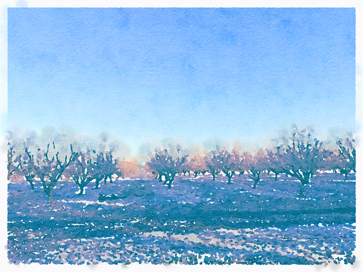 Cascade Half Marathon