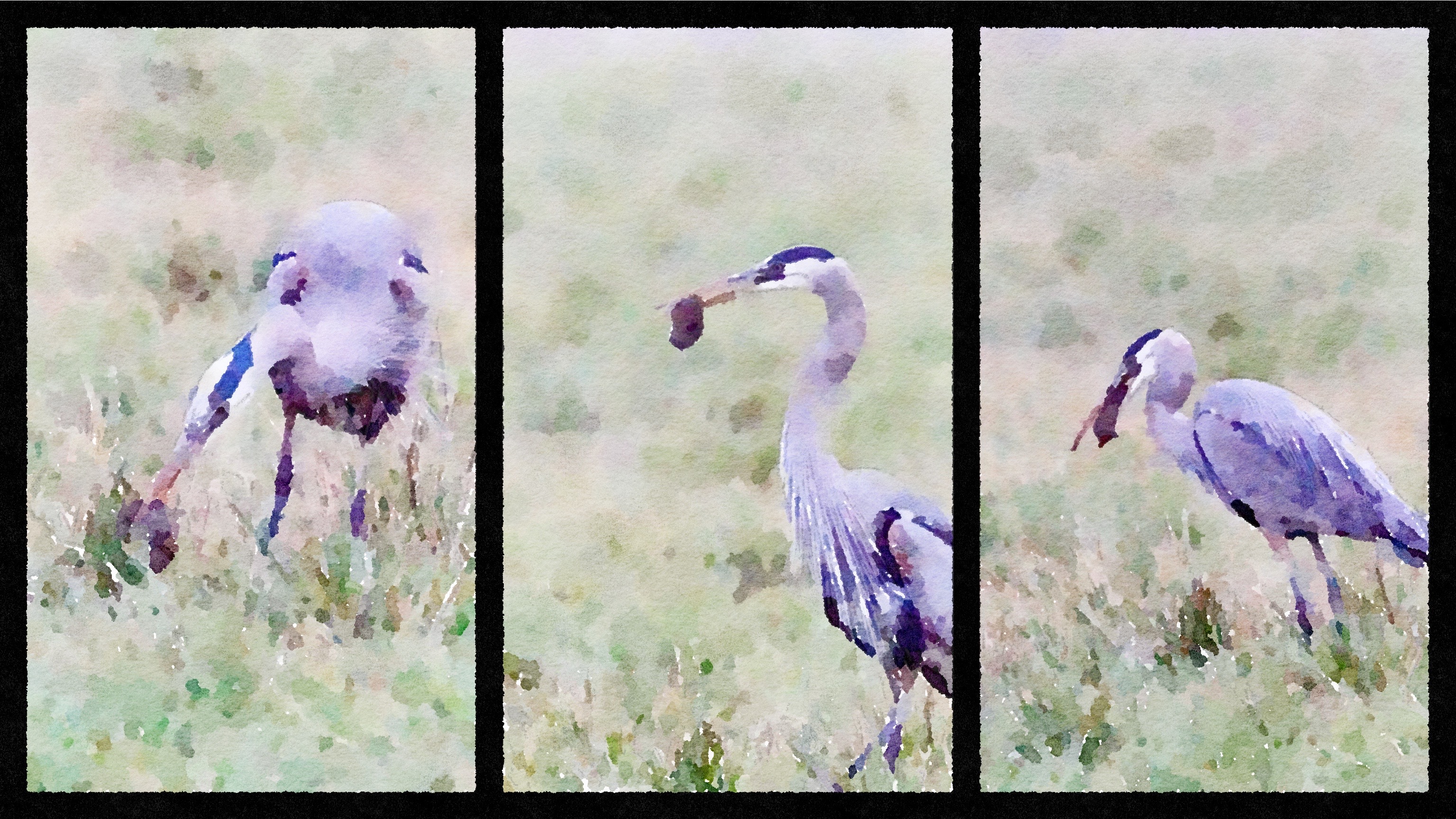 watercolor effect of heron eating a mole