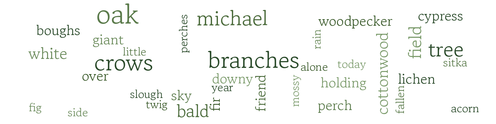 Word cloud of tree notes observations, listed below